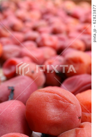 梅干作り 天日干しの後の様子 梅干作り 天日干しの後の様子 62823877