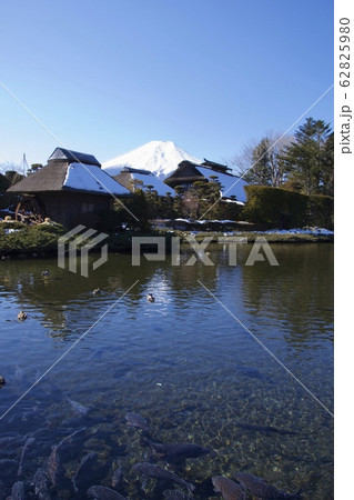 冬の忍野八海の展望台付近からの眺め（山梨県） 62825980