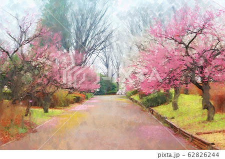 府中市郷土の森博物館の梅の花(2月)東京都府中市 府中市郷土の森博物館の梅の花(2月)東京都府中市 62826244