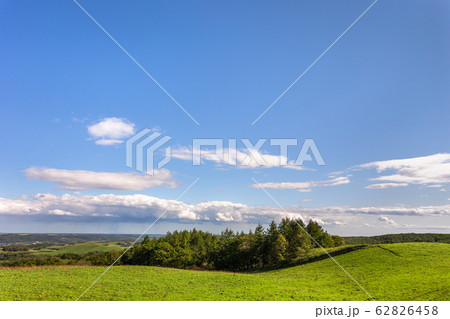 日本・北海道東部の弟子屈町、900草原 62826458