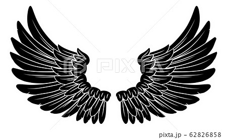Wings Angel or Eagle Feathers Pair Illustration 62826858