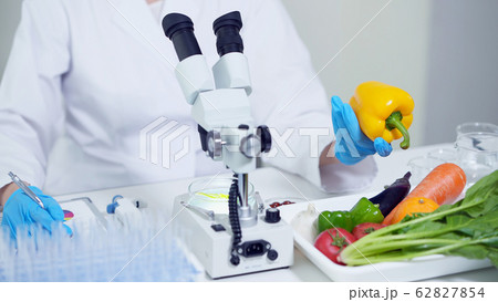 食品と科学 食品と科学 62827854