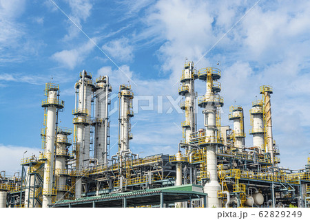 プラント 62829249