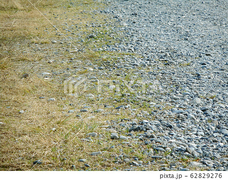 砂利と草 62829276