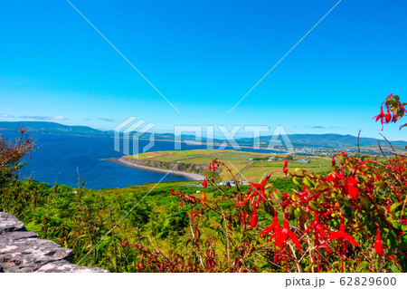 スコットランド　エディンバラ　カールトン・ヒル　夕焼け　dugald stewart monumen 62829600