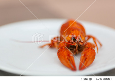 boiled cancer lies on a plate 62830661