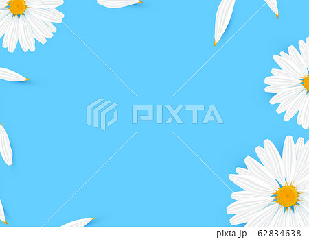 Template banner with realistic chamomile Template banner with realistic chamomile 62834638