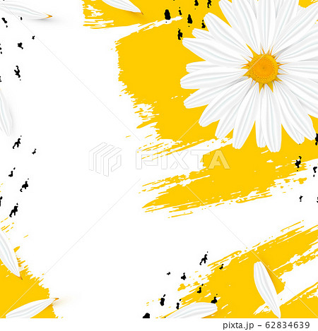 Template background with realistic chamomile Template background with realistic chamomile 62834639