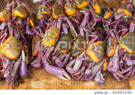 Ecuador, near Quitpo a stack of fresh local crabs. 62835240