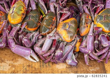 Ecuador, near Quitpo a stack of fresh local crabs. 62835241
