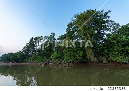 Amazing scenic view Tropical forest with jungle 62835383