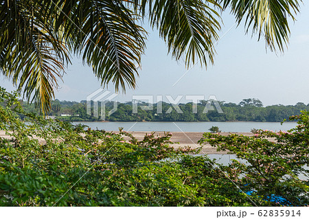 View of the bridge of El Coca on the Napo River. View of the bridge of El Coca on the Napo River. 62835914