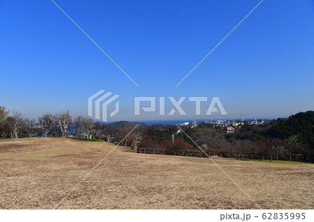 公園　広場　海 62835995