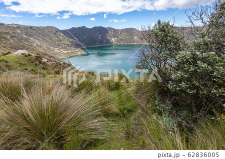 Lake Quilotoa. Panorama of the turquoise volcano crater lagoon of Quilotoa 62836005