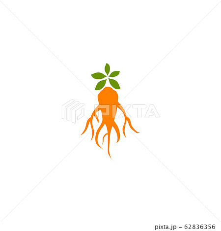 Ginseng plant logo icon design vector template Ginseng plant logo icon design vector template 62836356