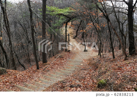 ボヒョンボン 鍾路区 松 62838213