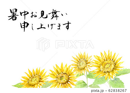 暑中はがきテンプレート ひまわり 水彩イラスト 暑中はがきテンプレート ひまわり 水彩イラスト 62838267