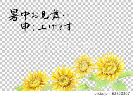 暑中はがきテンプレート ひまわり 水彩イラスト 暑中はがきテンプレート ひまわり 水彩イラスト 62838267