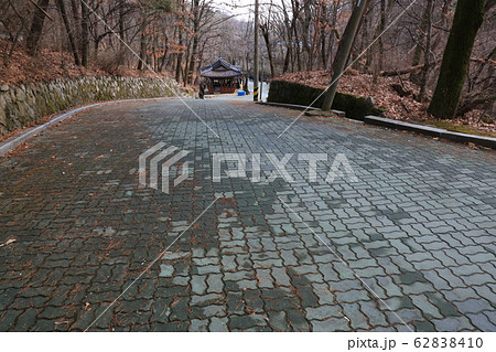 木 松 階段 62838410