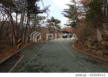 木 松 階段 62838412