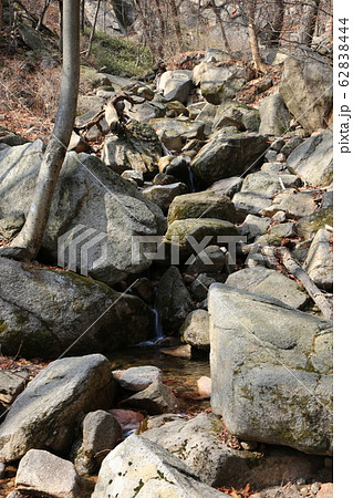 木 松 階段 62838444