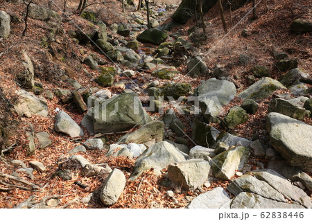 木 松 階段 62838446