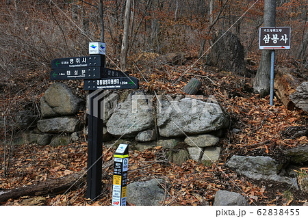 木 松 階段 62838455