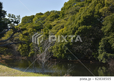 【大阪府 堺市】世界遺産・百舌鳥古墳群(反正天皇陵古墳) 【大阪府 堺市】世界遺産・百舌鳥古墳群(反正天皇陵古墳) 62838505