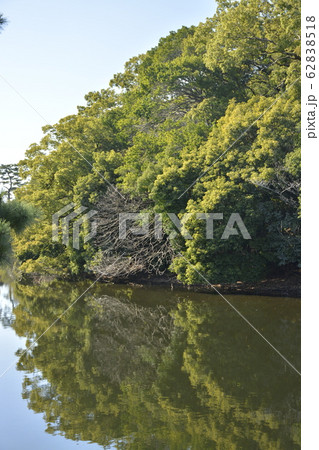 【大阪府　堺市】世界遺産・百舌鳥古墳群（反正天皇陵古墳） 62838518