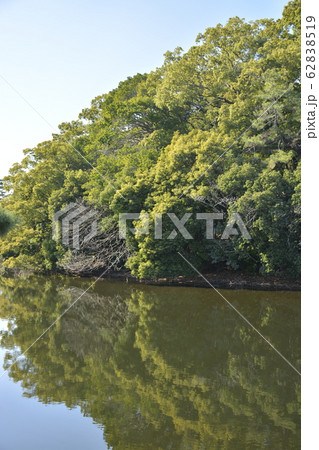 【大阪府 堺市】世界遺産・百舌鳥古墳群(反正天皇陵古墳) 【大阪府 堺市】世界遺産・百舌鳥古墳群(反正天皇陵古墳) 62838519