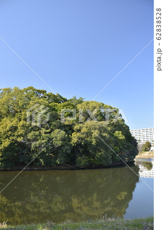 【大阪府　堺市】世界遺産・百舌鳥古墳群（反正天皇陵古墳） 62838528