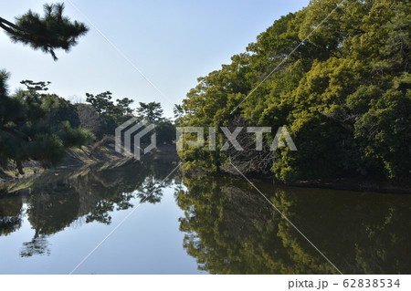 【大阪府　堺市】世界遺産・百舌鳥古墳群（反正天皇陵古墳） 62838534