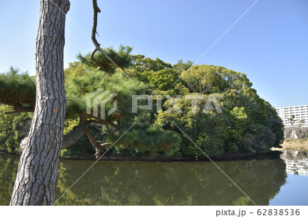 【大阪府　堺市】世界遺産・百舌鳥古墳群（反正天皇陵古墳） 62838536