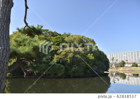 【大阪府　堺市】世界遺産・百舌鳥古墳群（反正天皇陵古墳） 62838537