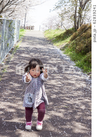 ばら公園いこいの広場で遊ぶ幼児 62839241