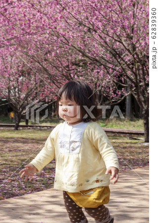 はなもも公園で遊ぶ女の子 62839360