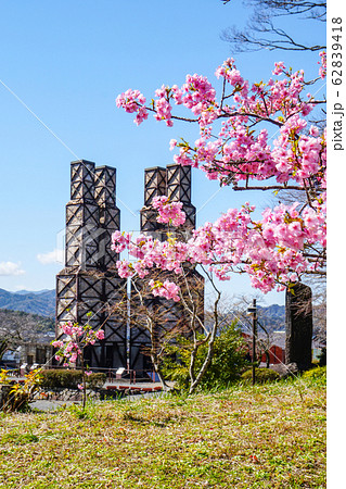 河津桜と韮山反射炉 河津桜と韮山反射炉 62839418