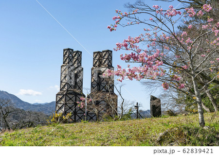 河津桜と韮山反射炉 河津桜と韮山反射炉 62839421