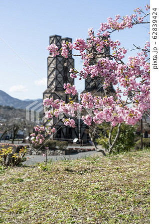 河津桜と韮山反射炉 河津桜と韮山反射炉 62839424
