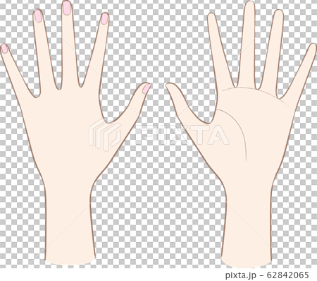 Palm of the hand Palm of the hand 62842065