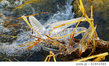 氷 冬 自然 62842484