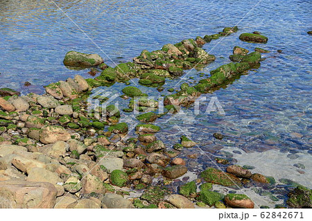 離島出羽島のゴロタ石の海岸 離島出羽島のゴロタ石の海岸 62842671