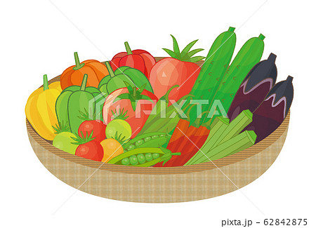 夏野菜 セットのイラスト素材