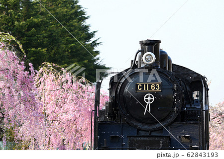 喜多方 日中線跡地のしだれ桜並木とSL 喜多方 日中線跡地のしだれ桜並木とSL 62843193