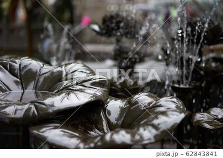 香港 マカオ香港 マカオ 黄大仙 香港 マカオ香港 マカオ 黄大仙 62843841