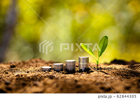 Money and growth-Stacked coins On the ground and Money and growth-Stacked coins On the ground and 62844305