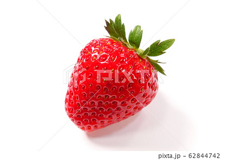 イチゴ　いちご　苺 62844742