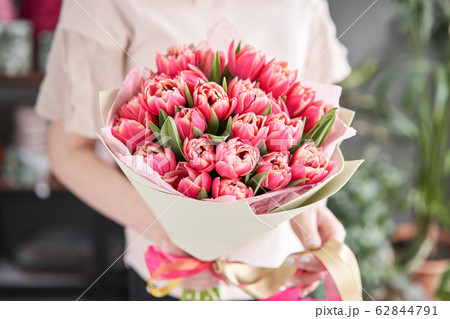 Crimson color tulips in woman hand. Spring bouquet of red tulips in hands. Bunch of fresh cut spring flowers Crimson color tulips in woman hand. Spring bouquet of red tulips in hands. Bunch of fresh cut spring flowers 62844791
