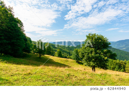 sunny mountain landscape in summer 62844940