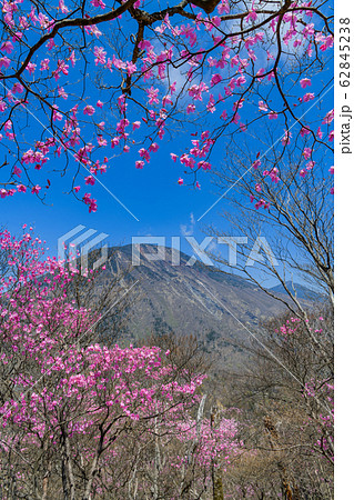 アカヤシオと男体山 62845238